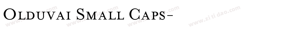 Olduvai Small Caps字体转换